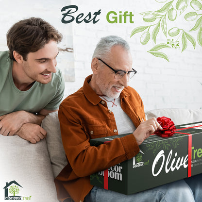 Artificial Plants with Natural Wood Trunk and Lifelike Fruits for Home Office Decor